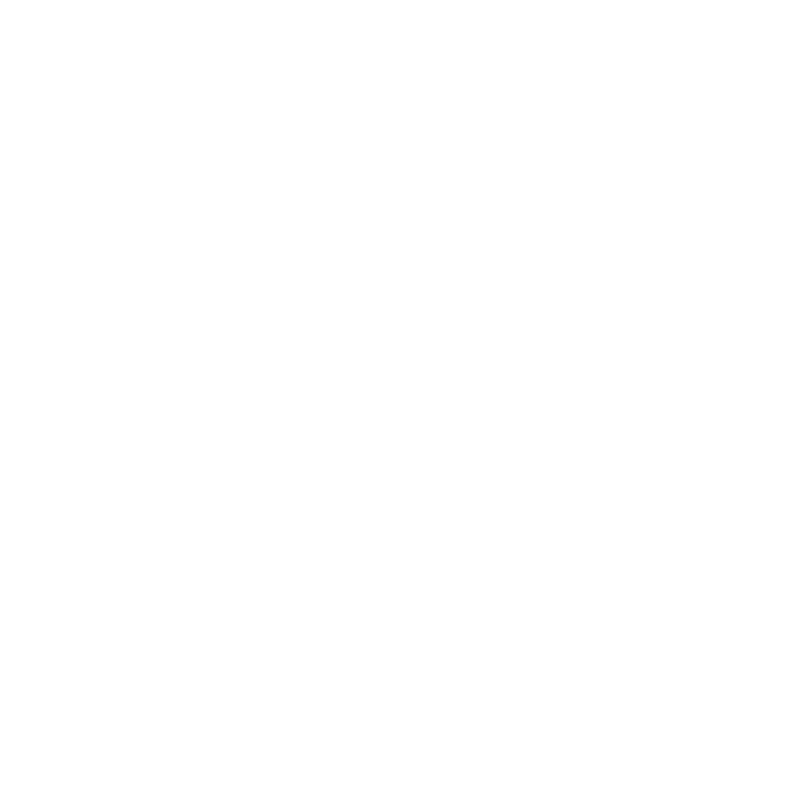 Logo Vip Service Verona NCC